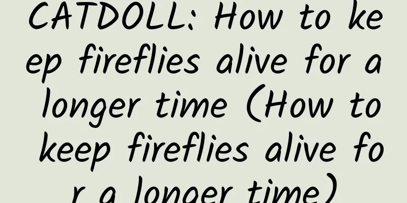 CATDOLL: How to keep fireflies alive for a longer time (How to keep fireflies alive for a longer time)