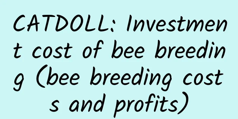 CATDOLL: Investment cost of bee breeding (bee breeding costs and profits)