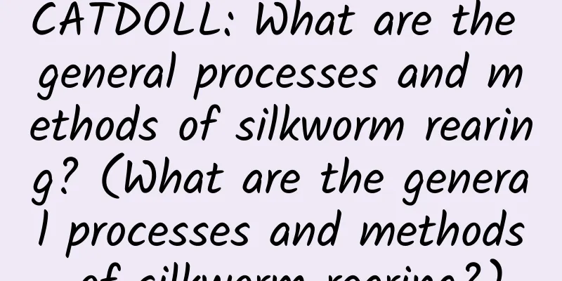 CATDOLL: What are the general processes and methods of silkworm rearing? (What are the general processes and methods of silkworm rearing?)