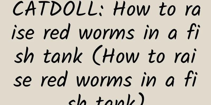 CATDOLL: How to raise red worms in a fish tank (How to raise red worms in a fish tank)