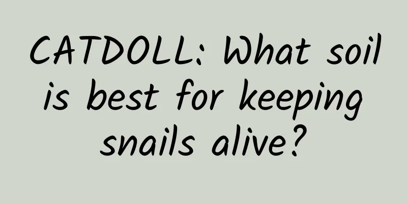 CATDOLL: What soil is best for keeping snails alive?