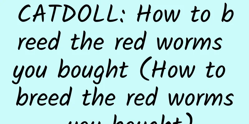 CATDOLL: How to breed the red worms you bought (How to breed the red worms you bought)