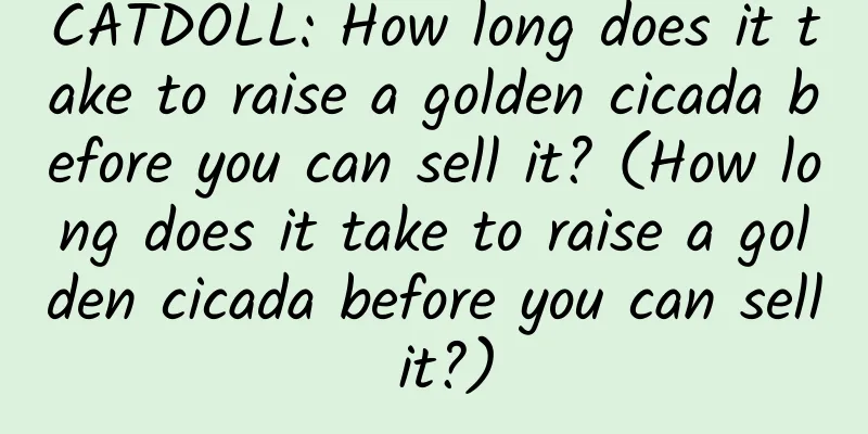 CATDOLL: How long does it take to raise a golden cicada before you can sell it? (How long does it take to raise a golden cicada before you can sell it?)