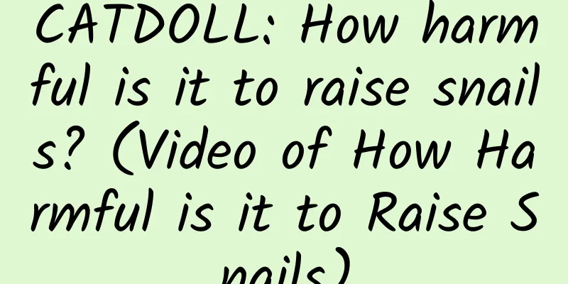 CATDOLL: How harmful is it to raise snails? (Video of How Harmful is it to Raise Snails)