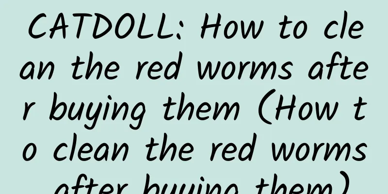 CATDOLL: How to clean the red worms after buying them (How to clean the red worms after buying them)