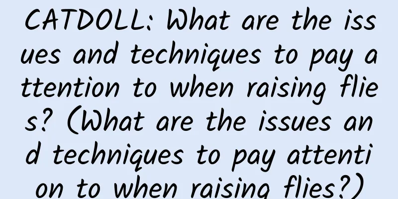 CATDOLL: What are the issues and techniques to pay attention to when raising flies? (What are the issues and techniques to pay attention to when raising flies?)