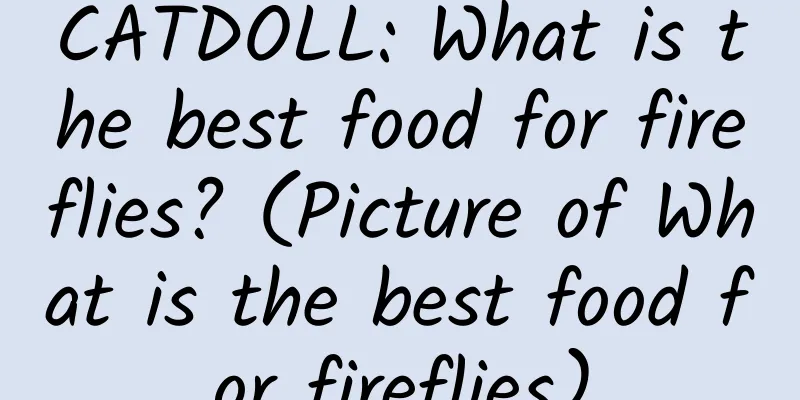CATDOLL: What is the best food for fireflies? (Picture of What is the best food for fireflies)