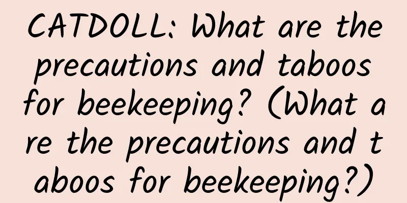 CATDOLL: What are the precautions and taboos for beekeeping? (What are the precautions and taboos for beekeeping?)