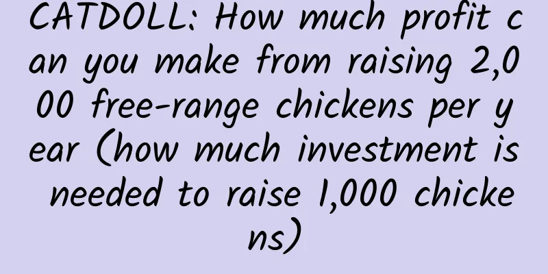 CATDOLL: How much profit can you make from raising 2,000 free-range chickens per year (how much investment is needed to raise 1,000 chickens)