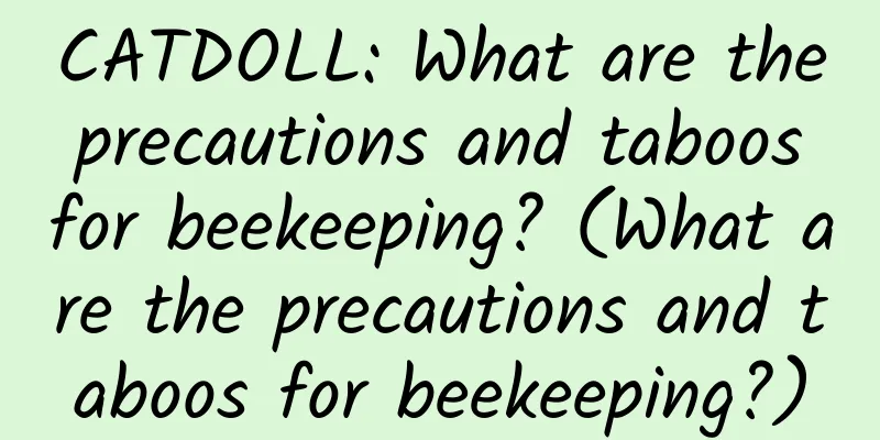 CATDOLL: What are the precautions and taboos for beekeeping? (What are the precautions and taboos for beekeeping?)