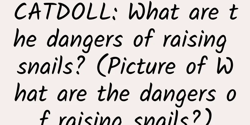 CATDOLL: What are the dangers of raising snails? (Picture of What are the dangers of raising snails?)