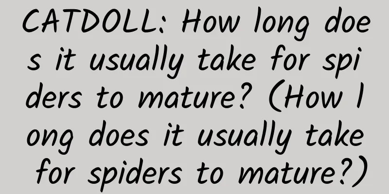 CATDOLL: How long does it usually take for spiders to mature? (How long does it usually take for spiders to mature?)