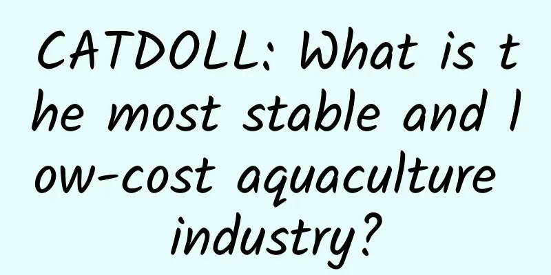 CATDOLL: What is the most stable and low-cost aquaculture industry?