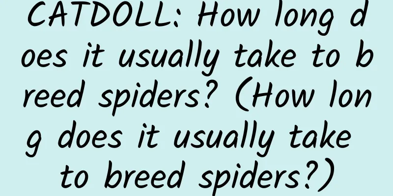 CATDOLL: How long does it usually take to breed spiders? (How long does it usually take to breed spiders?)