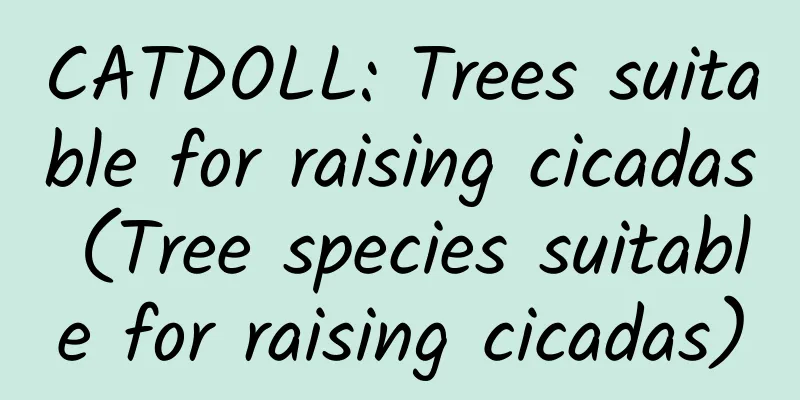 CATDOLL: Trees suitable for raising cicadas (Tree species suitable for raising cicadas)