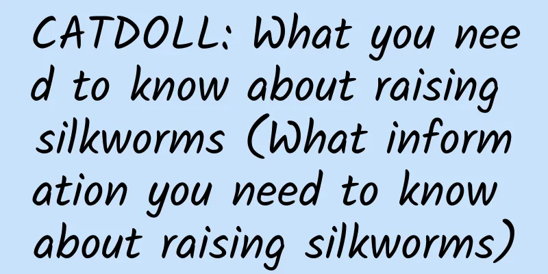 CATDOLL: What you need to know about raising silkworms (What information you need to know about raising silkworms)