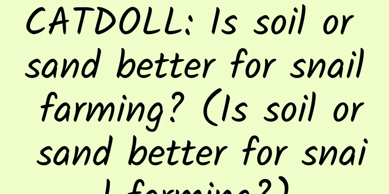 CATDOLL: Is soil or sand better for snail farming? (Is soil or sand better for snail farming?)