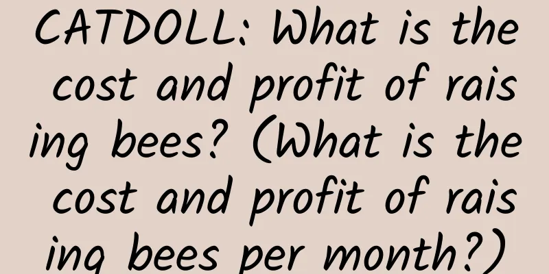 CATDOLL: What is the cost and profit of raising bees? (What is the cost and profit of raising bees per month?)