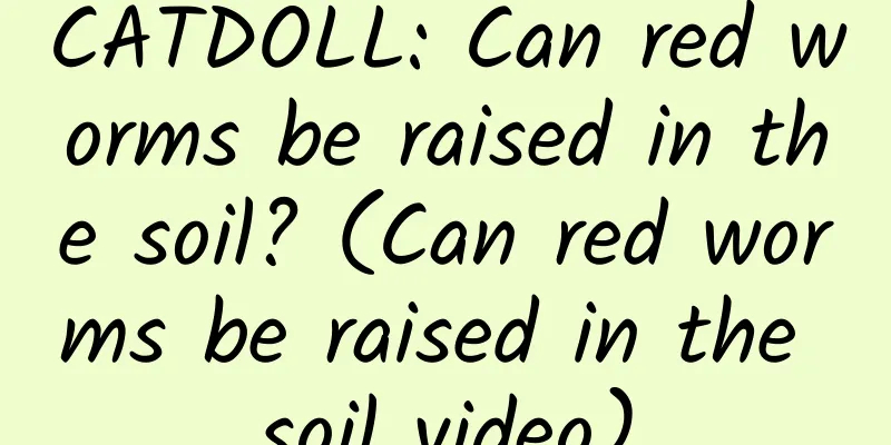 CATDOLL: Can red worms be raised in the soil? (Can red worms be raised in the soil video)