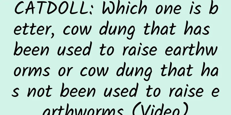 CATDOLL: Which one is better, cow dung that has been used to raise earthworms or cow dung that has not been used to raise earthworms (Video)