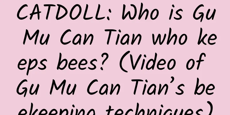CATDOLL: Who is Gu Mu Can Tian who keeps bees? (Video of Gu Mu Can Tian’s beekeeping techniques)
