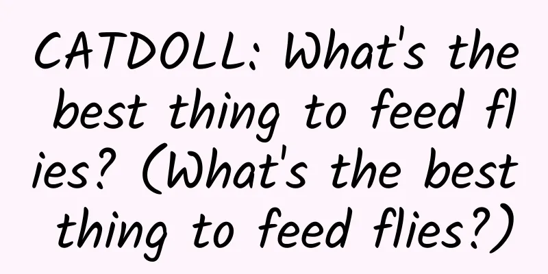 CATDOLL: What's the best thing to feed flies? (What's the best thing to feed flies?)