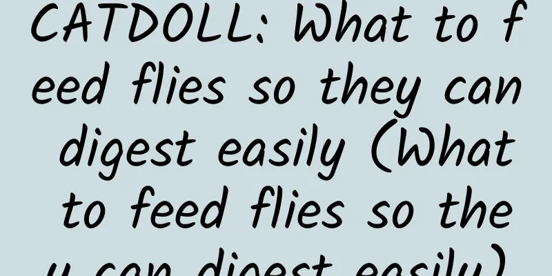 CATDOLL: What to feed flies so they can digest easily (What to feed flies so they can digest easily)