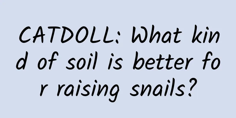 CATDOLL: What kind of soil is better for raising snails?