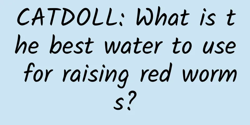 CATDOLL: What is the best water to use for raising red worms?