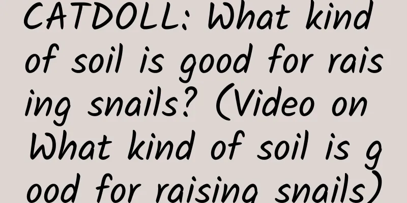CATDOLL: What kind of soil is good for raising snails? (Video on What kind of soil is good for raising snails)