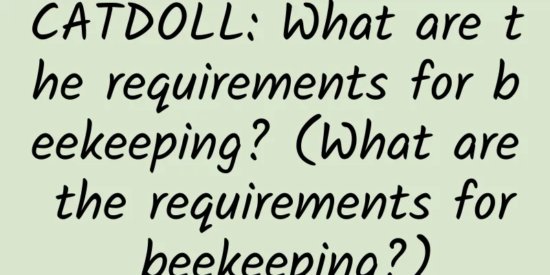 CATDOLL: What are the requirements for beekeeping? (What are the requirements for beekeeping?)