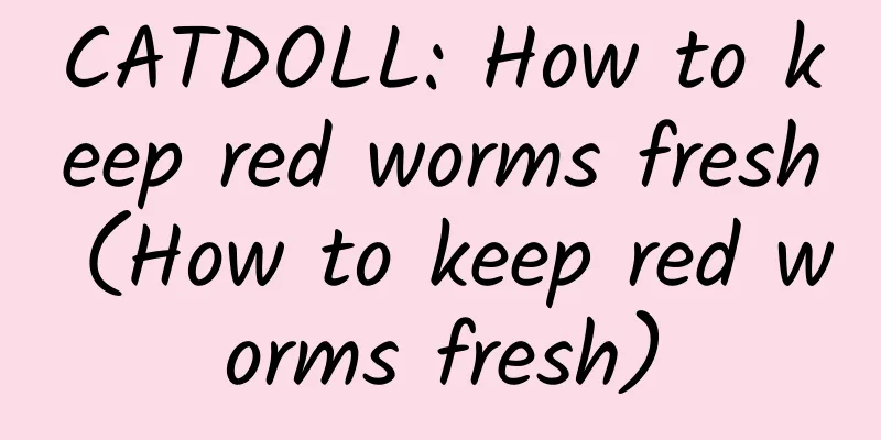 CATDOLL: How to keep red worms fresh (How to keep red worms fresh)