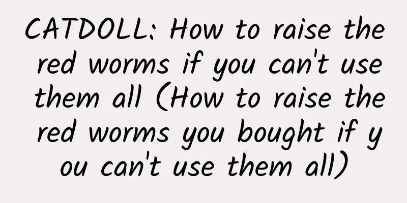 CATDOLL: How to raise the red worms if you can't use them all (How to raise the red worms you bought if you can't use them all)