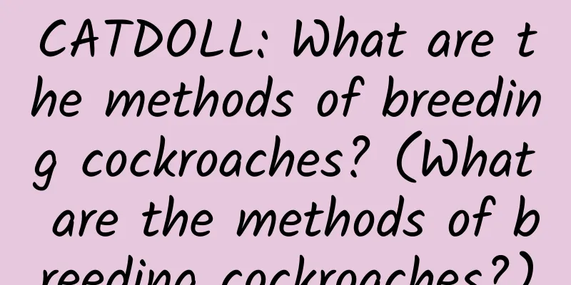 CATDOLL: What are the methods of breeding cockroaches? (What are the methods of breeding cockroaches?)