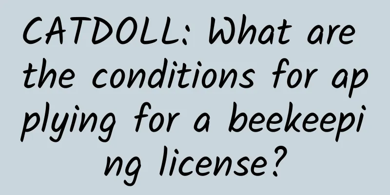 CATDOLL: What are the conditions for applying for a beekeeping license?