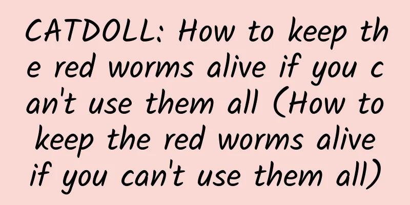 CATDOLL: How to keep the red worms alive if you can't use them all (How to keep the red worms alive if you can't use them all)