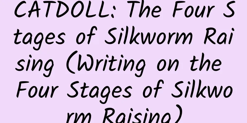 CATDOLL: The Four Stages of Silkworm Raising (Writing on the Four Stages of Silkworm Raising)