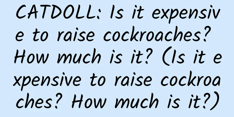 CATDOLL: Is it expensive to raise cockroaches? How much is it? (Is it expensive to raise cockroaches? How much is it?)