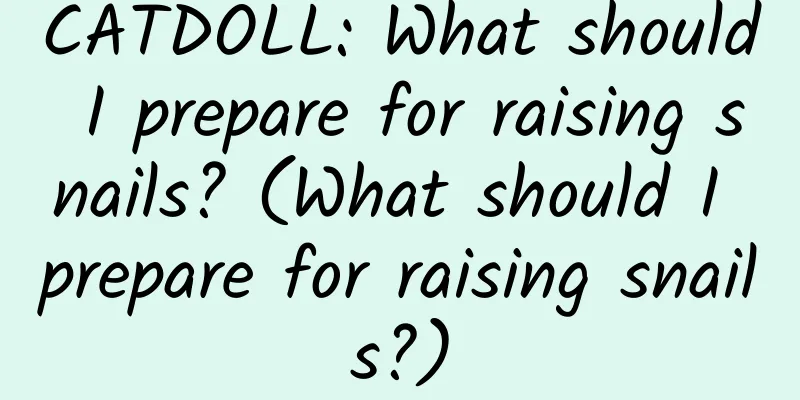 CATDOLL: What should I prepare for raising snails? (What should I prepare for raising snails?)