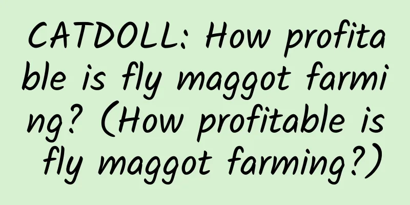 CATDOLL: How profitable is fly maggot farming? (How profitable is fly maggot farming?)