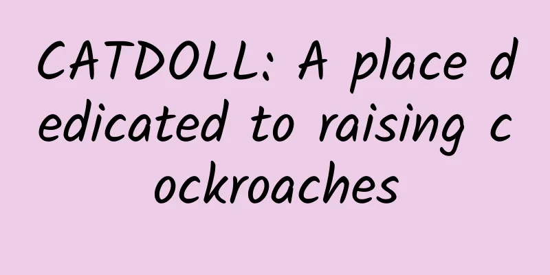 CATDOLL: A place dedicated to raising cockroaches