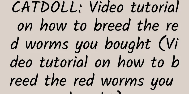 CATDOLL: Video tutorial on how to breed the red worms you bought (Video tutorial on how to breed the red worms you bought)