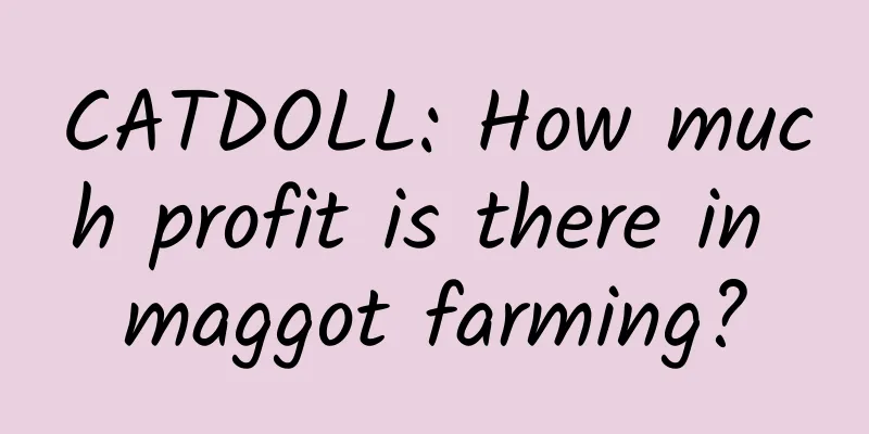 CATDOLL: How much profit is there in maggot farming?