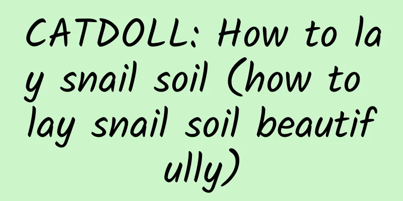 CATDOLL: How to lay snail soil (how to lay snail soil beautifully)