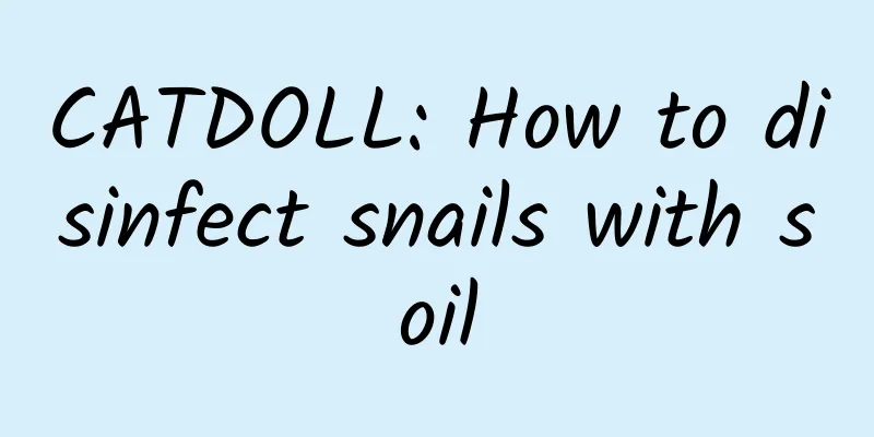 CATDOLL: How to disinfect snails with soil
