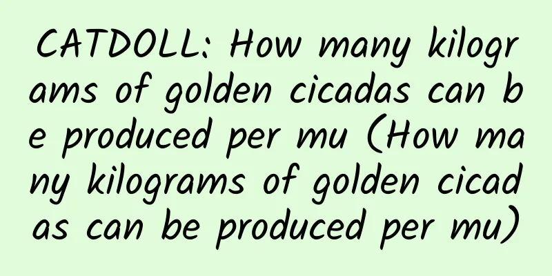 CATDOLL: How many kilograms of golden cicadas can be produced per mu (How many kilograms of golden cicadas can be produced per mu)