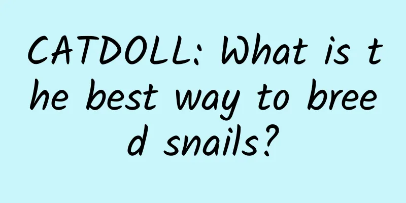 CATDOLL: What is the best way to breed snails?