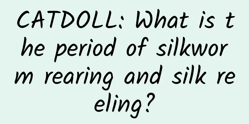 CATDOLL: What is the period of silkworm rearing and silk reeling?