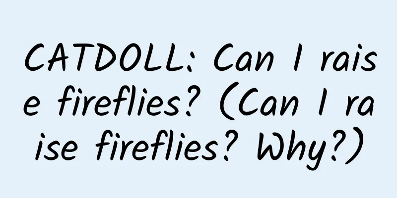 CATDOLL: Can I raise fireflies? (Can I raise fireflies? Why?)
