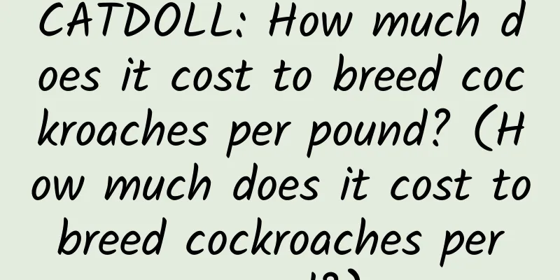 CATDOLL: How much does it cost to breed cockroaches per pound? (How much does it cost to breed cockroaches per pound?)